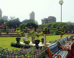 Hanging garden